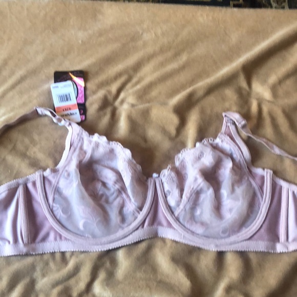 Carnival 42D Lace Underwire Bra - Picture 5 of 7